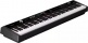 NPK-20 + STAND WITH TRIPLE PEDALS BLACK