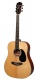 DG1 Complete Pack Natural