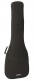 Trbx174Ewnt Natural Full Bundle