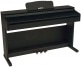 DP2 BLACK + FREE BENCH SEAT