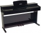 DP2 Noir Brillant + KBA300