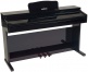 DP2 Black Gloss + Bench 