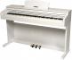 DP2 Wit + Pianokruk