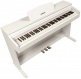 DP2 Wit + Pianokruk