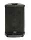 Confezione CS200 x 2 + microfono UHF