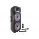 PARTY-215LED-MKII