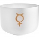 Singing Bowl Sonic Energy Cristal 12