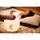 SINGING BOWL SONIC ENERGY CRISTAL 12