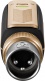 Spark Link XLR