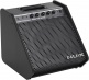 PERSONAL MONITOR AMPLIFIER NPA-100