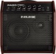 PA-50 - 50W Large Bande - 6,5 + Tweeter
