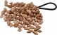 PBSHKENL BIRD KENARI NUT 7 SHAKER