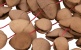 PBSHKENL BIRD KENARI NUT 7 SHAKER