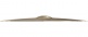 STRATUS CYMBAL 16