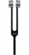 PTF-DY - Diapason Power Fork Earth Day (194,2Hz)