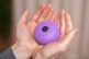 MEINL SONIC ENERGY POCKET STEEL TONGUE DRUM, A MAJOR, PURPLE