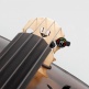 Nexxus 360 - Cello And Bass