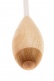 DIRECTION BATON WOOD SPOHR - BALANCED