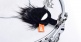 Attenuateur Caisse Claire MR Muff Minimuff
