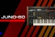 Juno-60