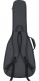 Folk CB-AG10 Gigbag
