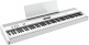 FP-60X WH