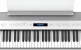 FP-60X WH