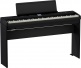 FP-E50 + STAND