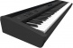 FP-60X BK