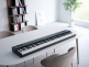 Go:Piano 88