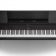 HP704-CH