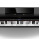 HP704-pe