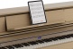 LX-5 LIGHT OAK