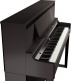 LX-6 DARK ROSEWOOD 