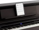 LX-6 DARK ROSEWOOD 
