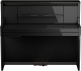 LX-9 POLISHED EBONY