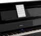 LX-9 Noir Poli