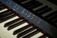 LX-9 POLISHED EBONY