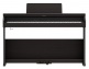 RP-701 DR