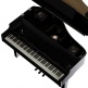 GP-6 Pe Noir Poli