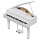 GP-6 PW Blanc Poli