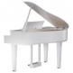 GP-6 PW Blanc Poli