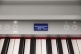 GP-6 PW Blanc Poli