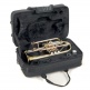 ROY BENSON CR-202 BB CORNET