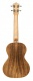 Acst-T Tenor