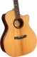 Gold A10 Cocobolo Naturel Brillant