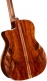 Gold A10 Cocobolo Naturel Brillant