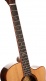 Gold A10 Cocobolo Natural Glossy