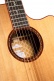 Gold A10 Cocobolo Naturel Brillant