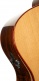 Gold A10 Cocobolo Naturel Brillant